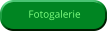 Fotogalerie